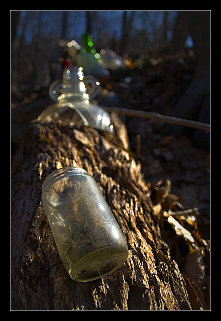 Glass on a Log