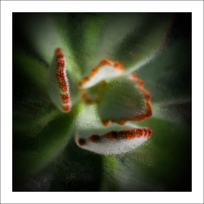 Plant Painting #1