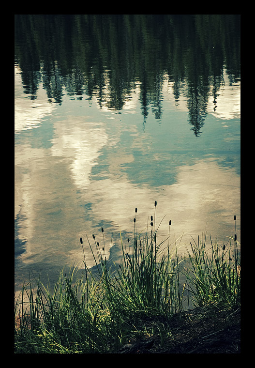 Reaching Reeds