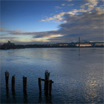 Seagulls, Posts and Bridges