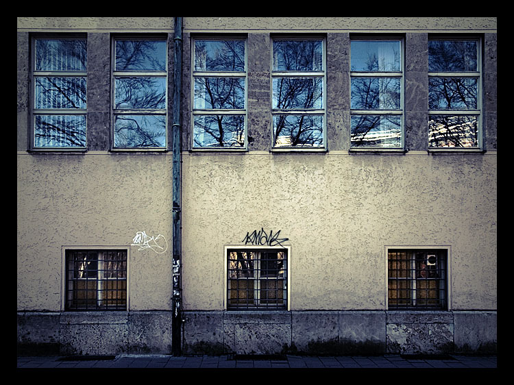 Grafitti and Windows