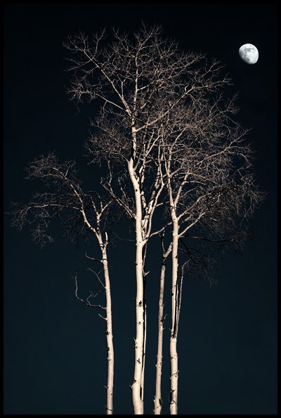 Dark Matter