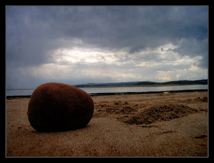 Beach Rock