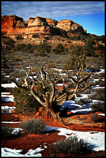 Canyonlands Revisited 2