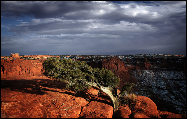 Canyonlands Revisited