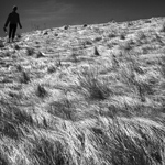 Figure on a Grassy Knoll