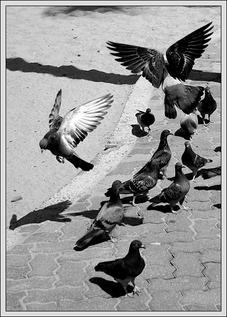 Sidewalk Flight