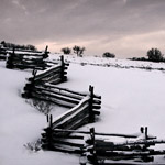 Big Fence, No Cattle