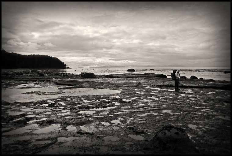 Tidepooling in the Rain