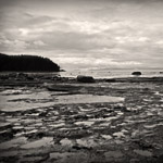 Tidepooling in the Rain