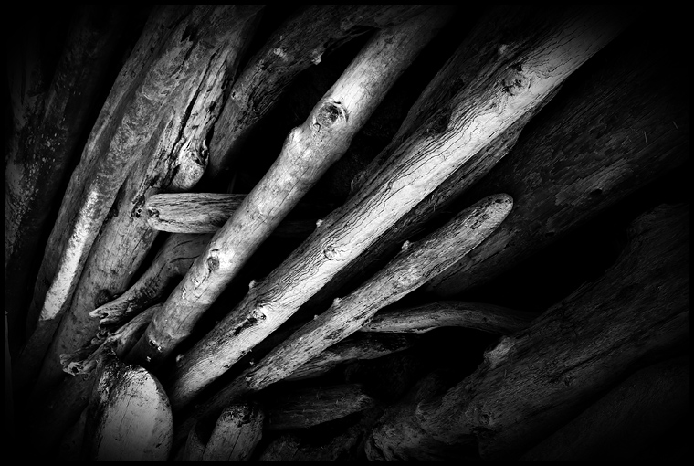 Logs of Driftwood