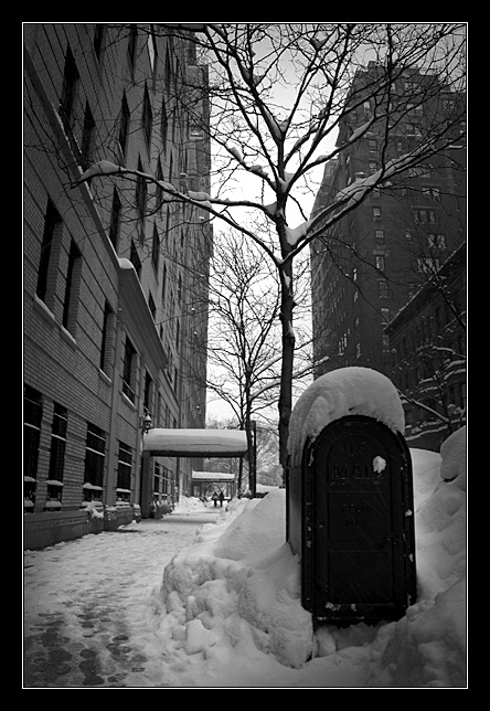 Snowy Mailbox