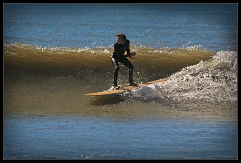 shredding gnar. Shredding the Gnar. Tully Rohrer. November 12th, 2008