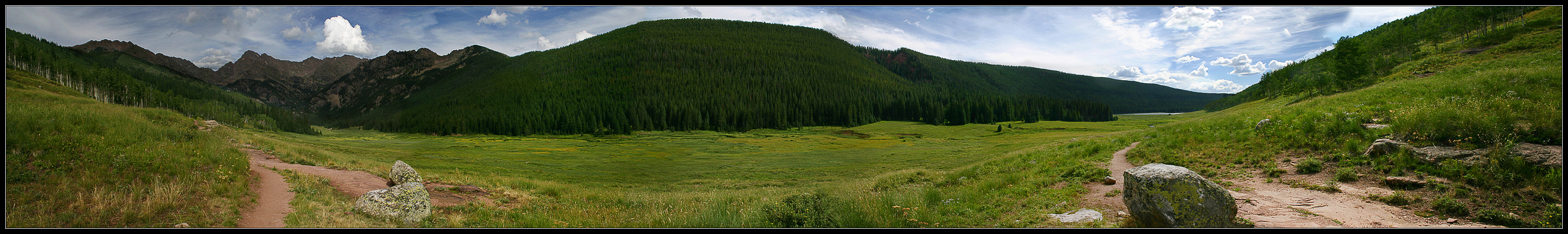 Piney Panorama