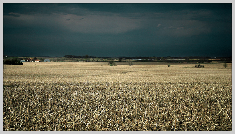 Maddening Cloud